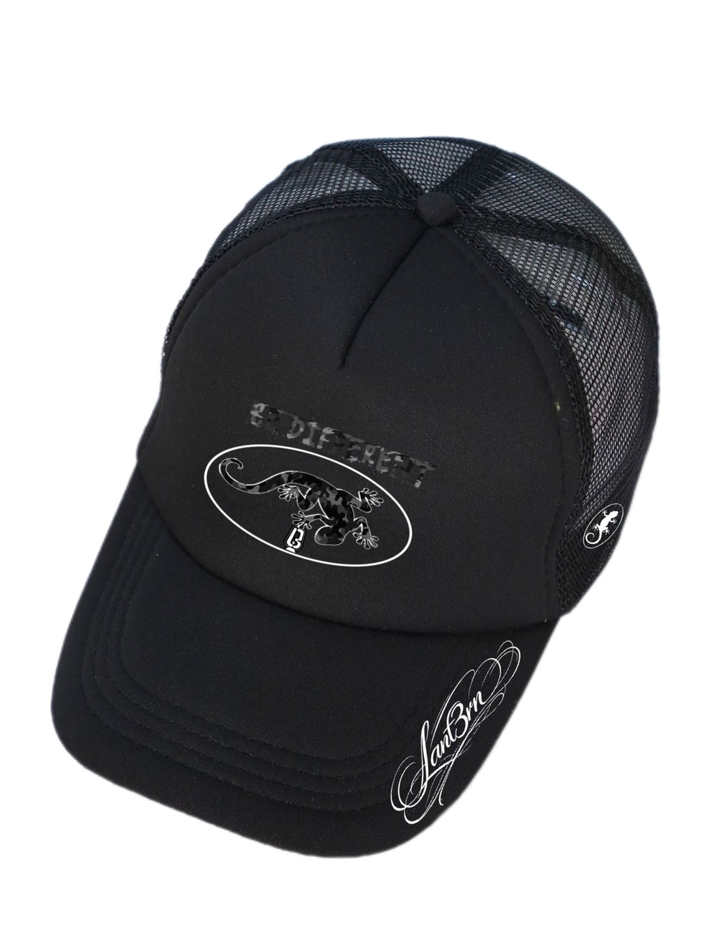 LANT3RN MEMBERZ SIGNATURE HAT